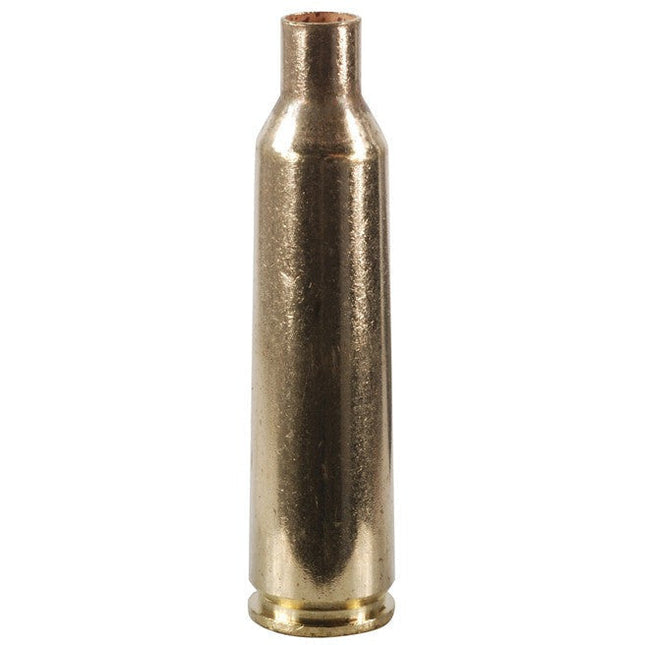WINCHESTER BRASS 22-250 X 100 - Shoalhaven Shooting