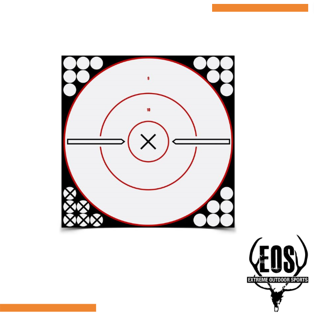 TARGETS - BIRCHWOOD CASEY SHOOT N C 12' WHAITE/BLACK X BULLS EYE TARGET 5 PACK Shoalhaven Shooting