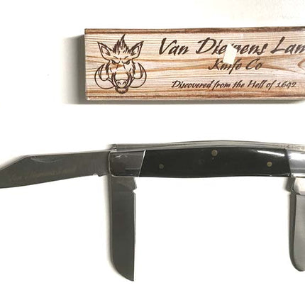 VAN DIEMENS LAND STOCKMAN BUFFALO HORN