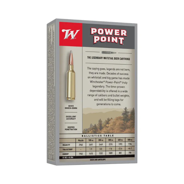 WINCHESTER AMMO 243 SX 100GR SP