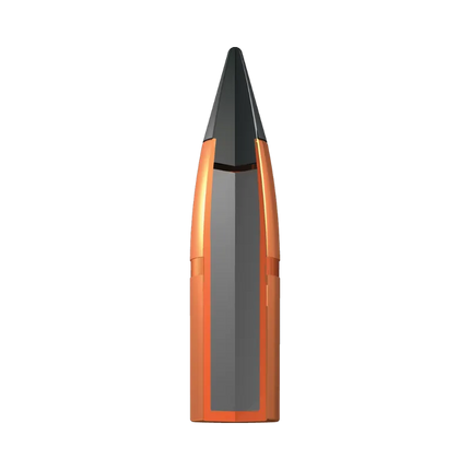 WINCHESTER AMMO 270 DEER SEASON 130GR XP