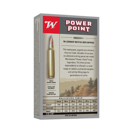 WINCHESTER AMMO 30-06 SX 180G PP